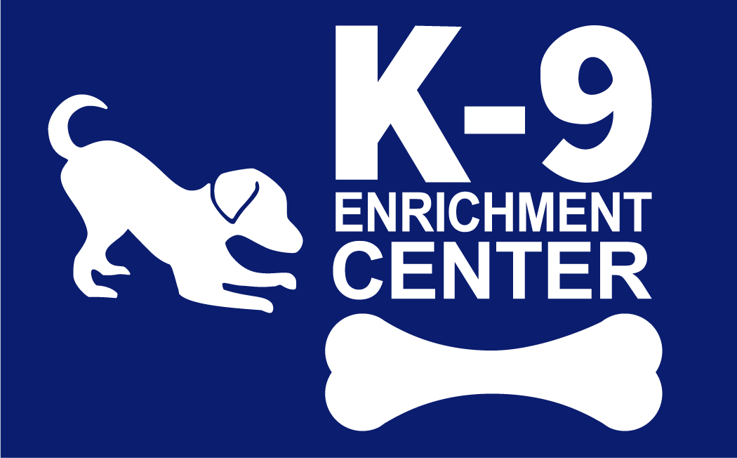 Five Types of K9 Enrichment - Houston PetTalk