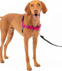 PetSafe Easy Walk No-Pull Dog Harness